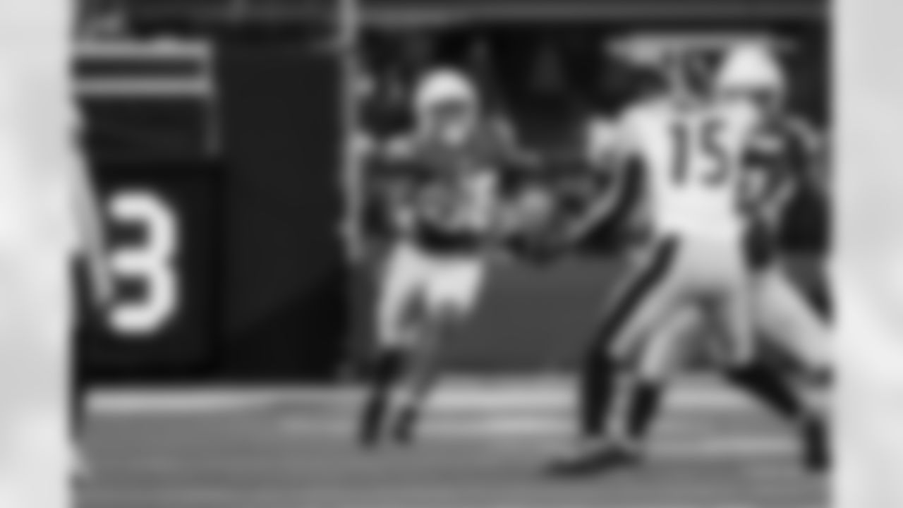 RB Trayveon Williams (38)