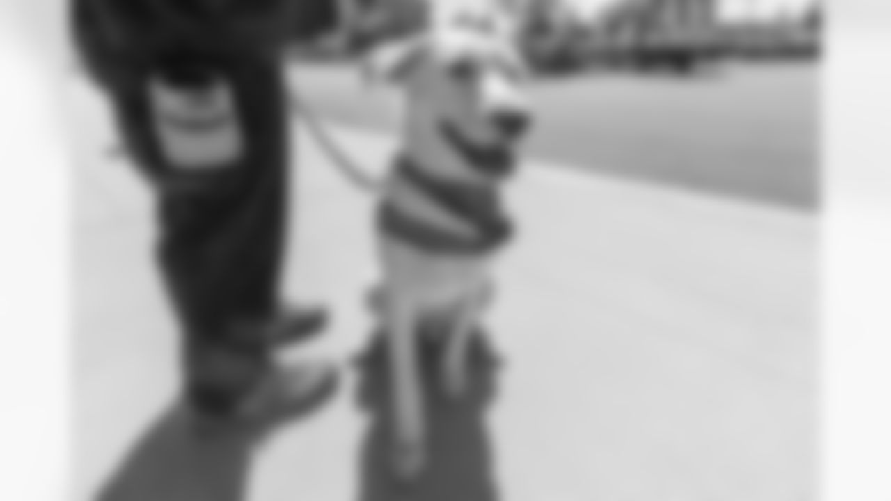 The Los Angeles Chargers service dog, Zeus, is photographed on Wednesday, September 24, 2025 at The Bolt in El Segundo, CA.