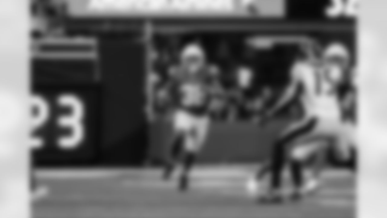 RB Trayveon Williams (38)