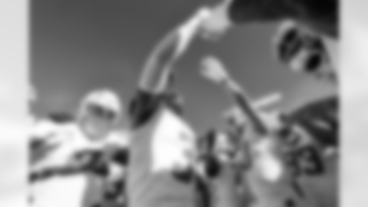 S Derwin James Jr. (3)