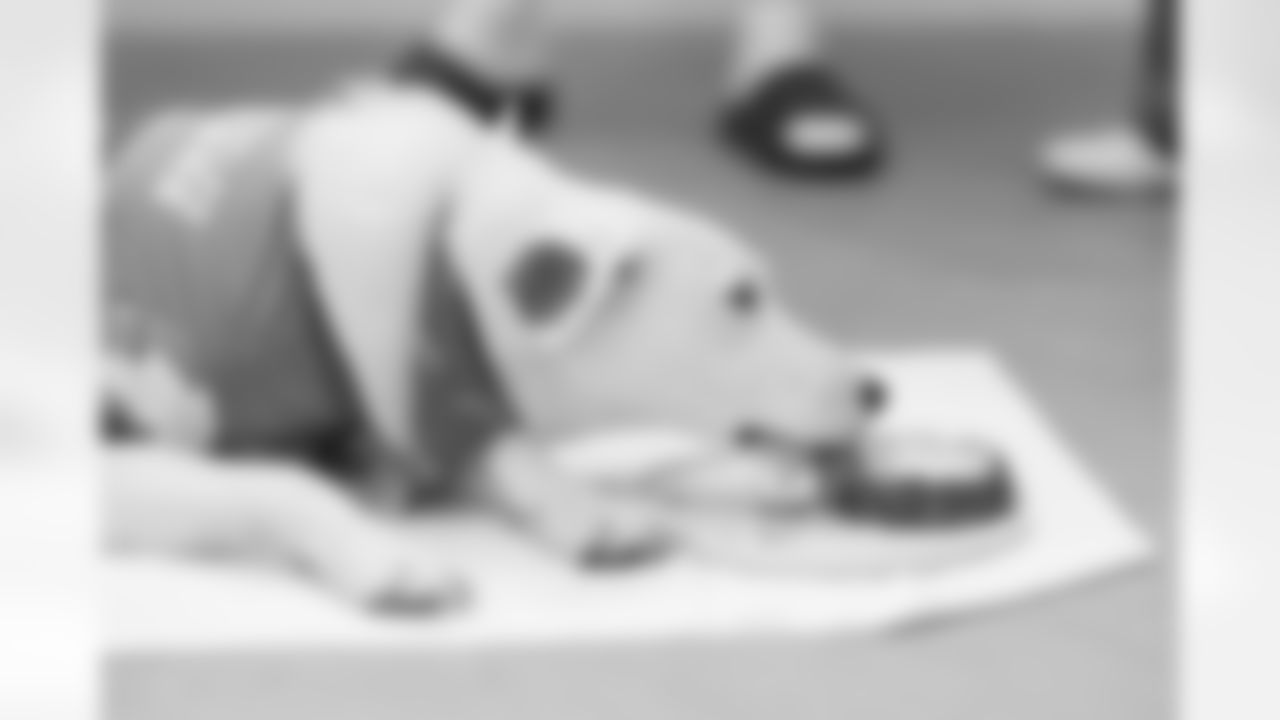 The latest Chargers Pup, Zeus, name is revealed on Monday, October 6, 2025 at The Bolt in El Segundo, CA.