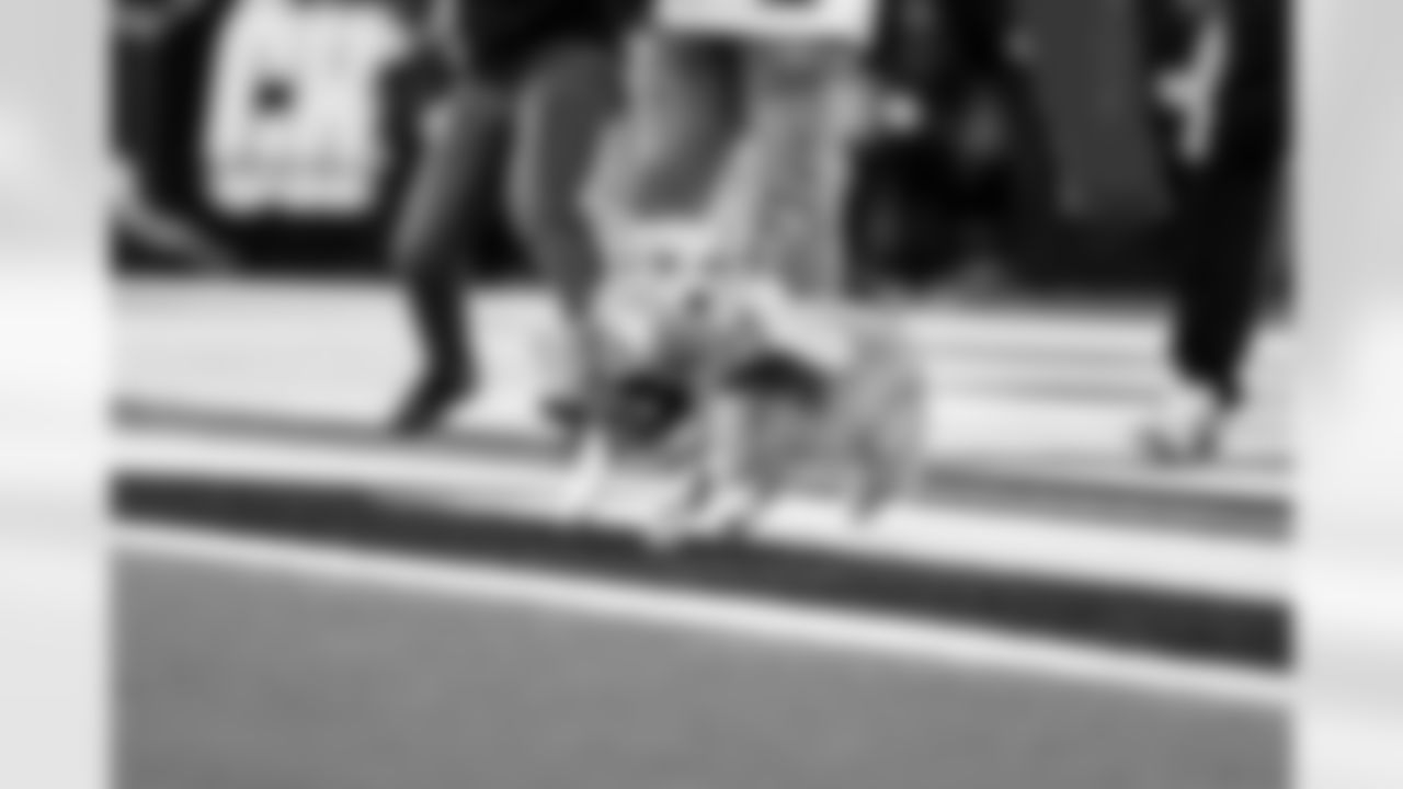 2025 Corgi Cup at Chargers vs. Texans Week 17 Matchup