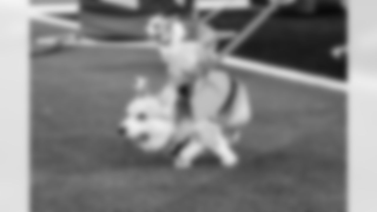 2025 Corgi Cup at Chargers vs. Texans Week 17 Matchup