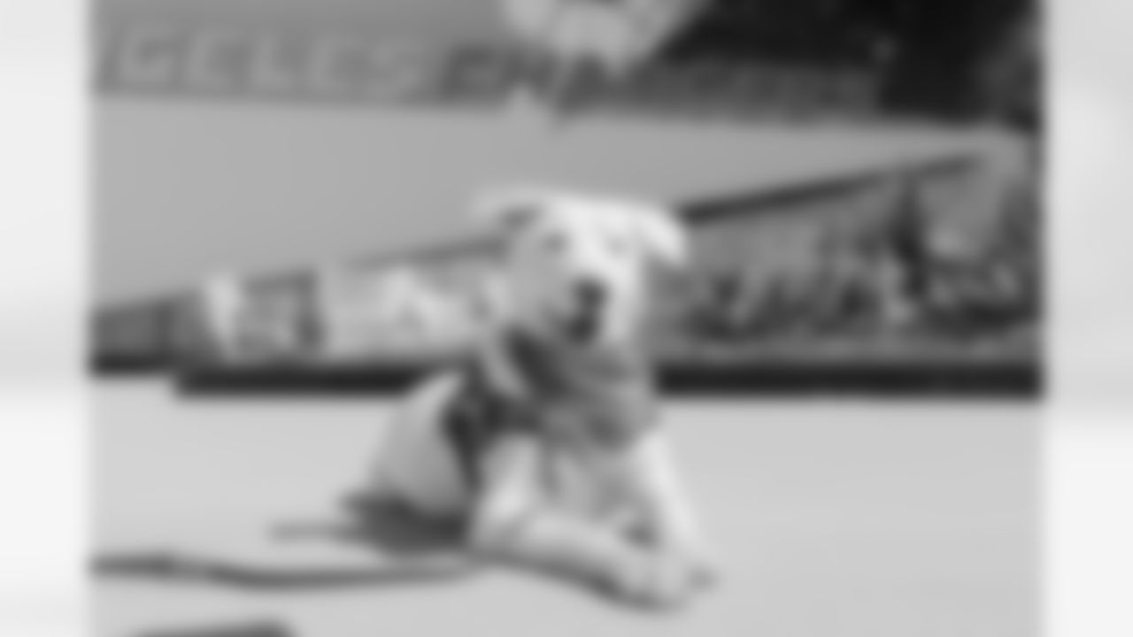 The Los Angeles Chargers service dog, Zeus, is photographed on Wednesday, September 24, 2025 at The Bolt in El Segundo, CA.
