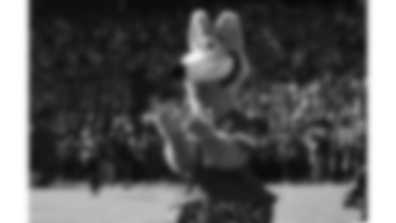 KC Wolf before a week 12 NFL football game against the Indianapolis Colts, Sunday, November 23, 2025 in Kansas City, MO.