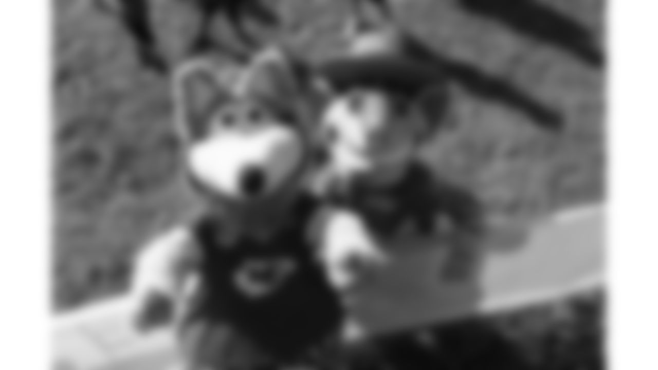 KC wolf poses with Texas Roadhouse Mascot Andy Armadillo during day 17 of Training Camp practice on Wednesday, August 13, 2025.
