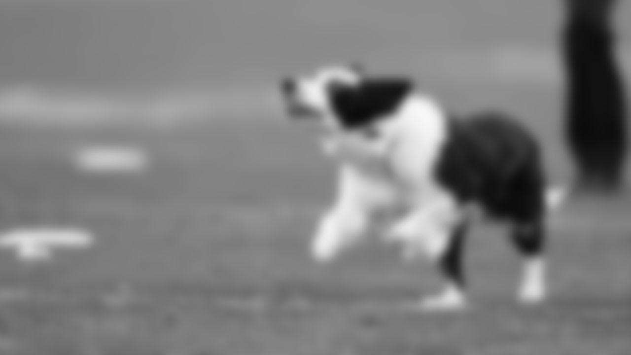 Kansas City Disc Dogs during an NFL week 15 matchup against the Los Angeles Chargers, Sunday December 14, 2025.