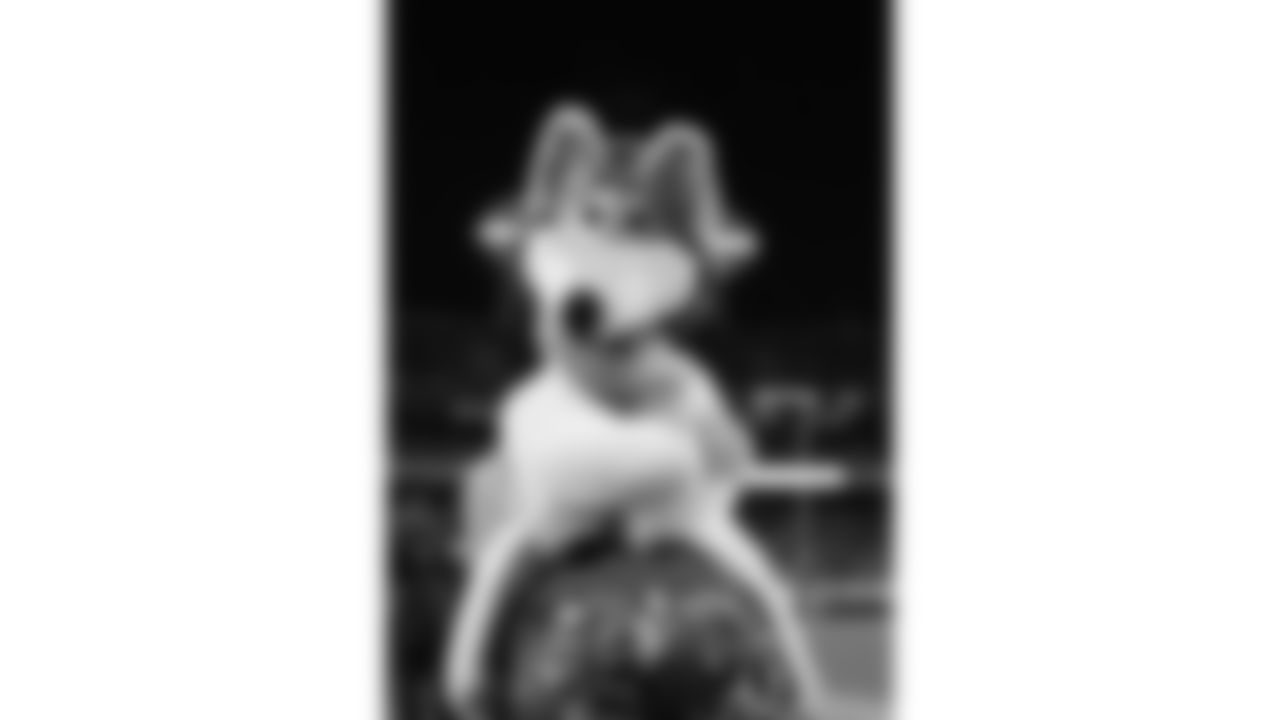 KC Wolf wears a white Build-A-Bear coat during a week 14 NFL Football game against the Houston Texans on Sunday, December 7, 2025 in Kansas City, MO.