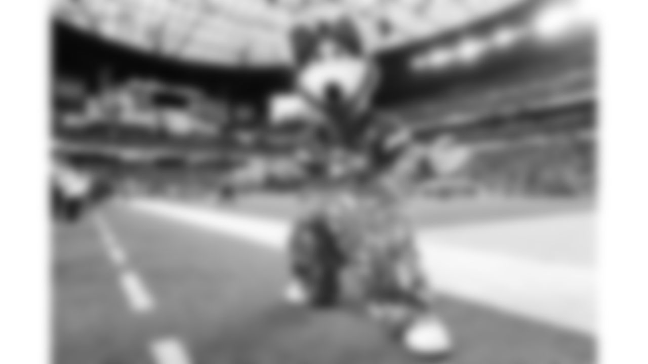 KC Wolf during the NFL Super Bowl 58 football game between the Kansas City Chiefs and the San Francisco 49ers on Sunday, Feb. 11, 2024, in Las Vegas, Nevada.