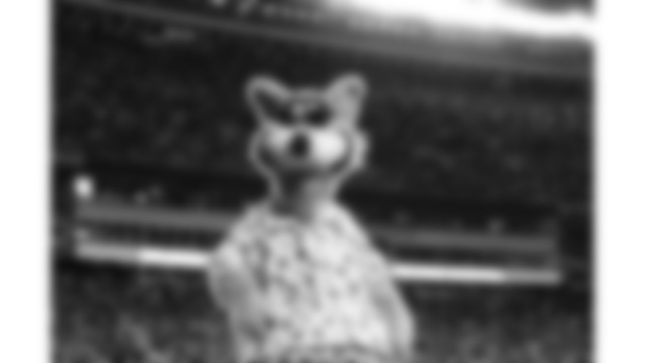KC Wolf during an NFL football game against the Denver Broncos at Arrowhead Stadium, Sunday, December 5, 2021 in Kansas City, Missouri.