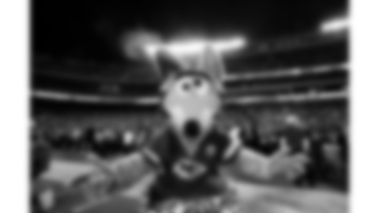 KC Wolf prior to the Sunday Night Football game between the Kansas City Chiefs and the Indianapolis Colts at Arrowhead Stadium on October 6, 2019.