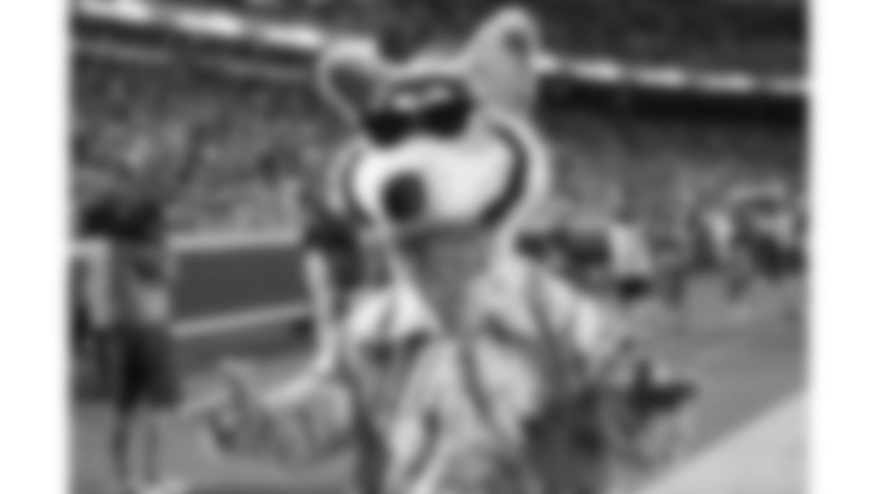 KC Wolf sports sunglasses during the Kansas City Chiefs vs. Cincinnati Bengals preseason game at Arrowhead Stadium on August 10, 2019.