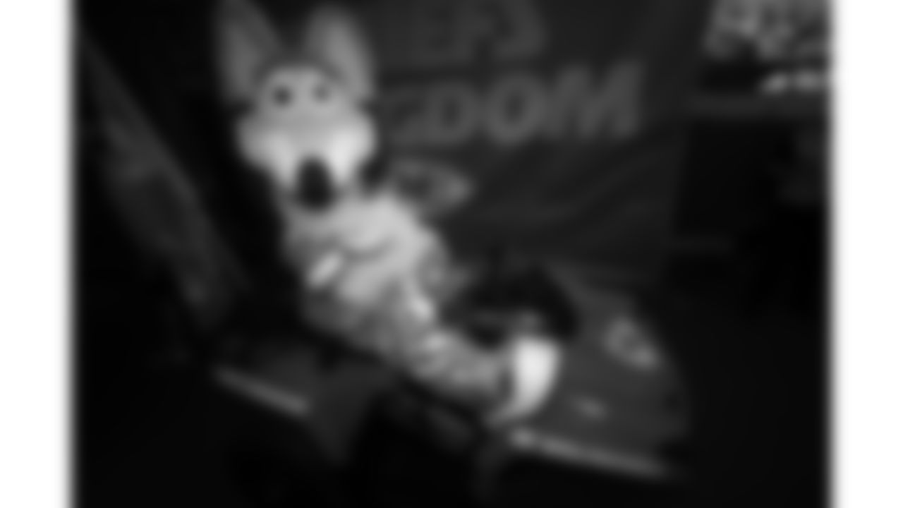 KC Wolf before a week 7 NFL Football game against the Las Vegas Raiders on Sunday, October 19, 2025.