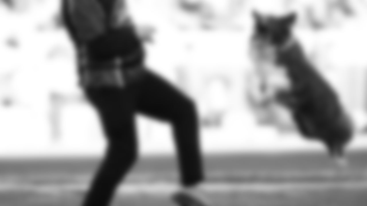 Kansas City Disc Dogs during an NFL week 15 matchup against the Los Angeles Chargers, Sunday December 14, 2025.