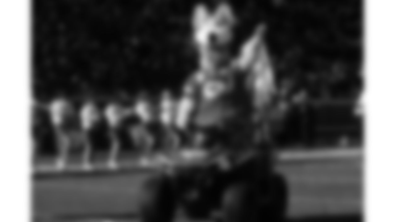 KC Wolf enters the field prior to a week 15 NFL Football game against the Los Angeles Chargers on Sunday, December 14, 2025 in Kansas City, MO.