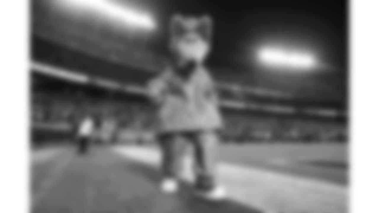 KC Wolf during an NFL football game against the Dallas Cowboys at Arrowhead Stadium, Sunday, November 21, 2021 in Kansas City.