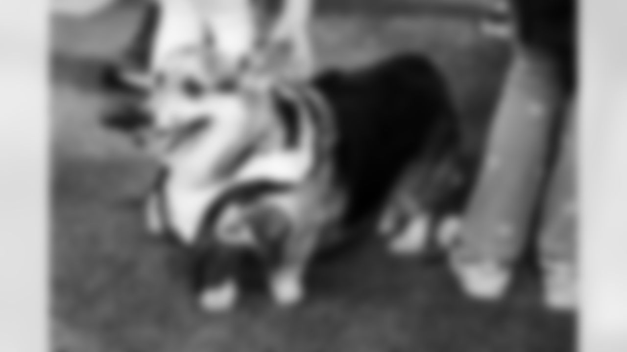 2025_1005_LV_22951