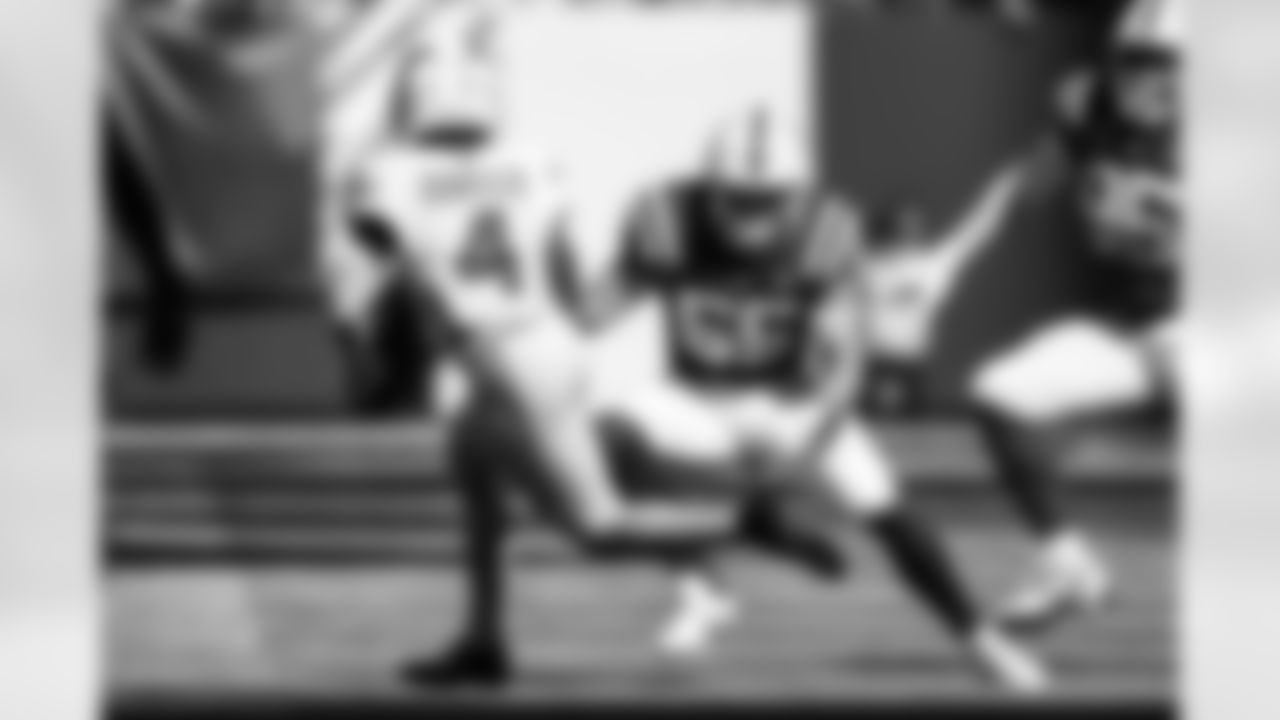 LB Chad Muma #55 and DT Adetomiwa Adebawore #95