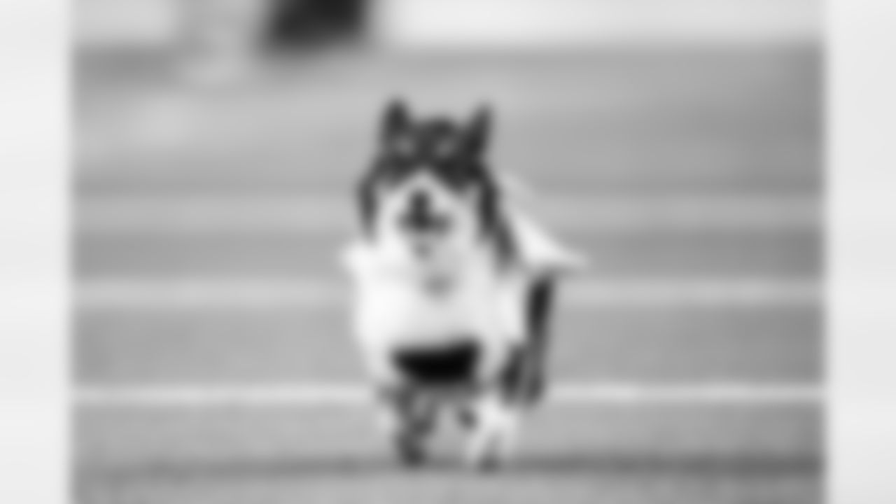 2025_1005_LV_21159