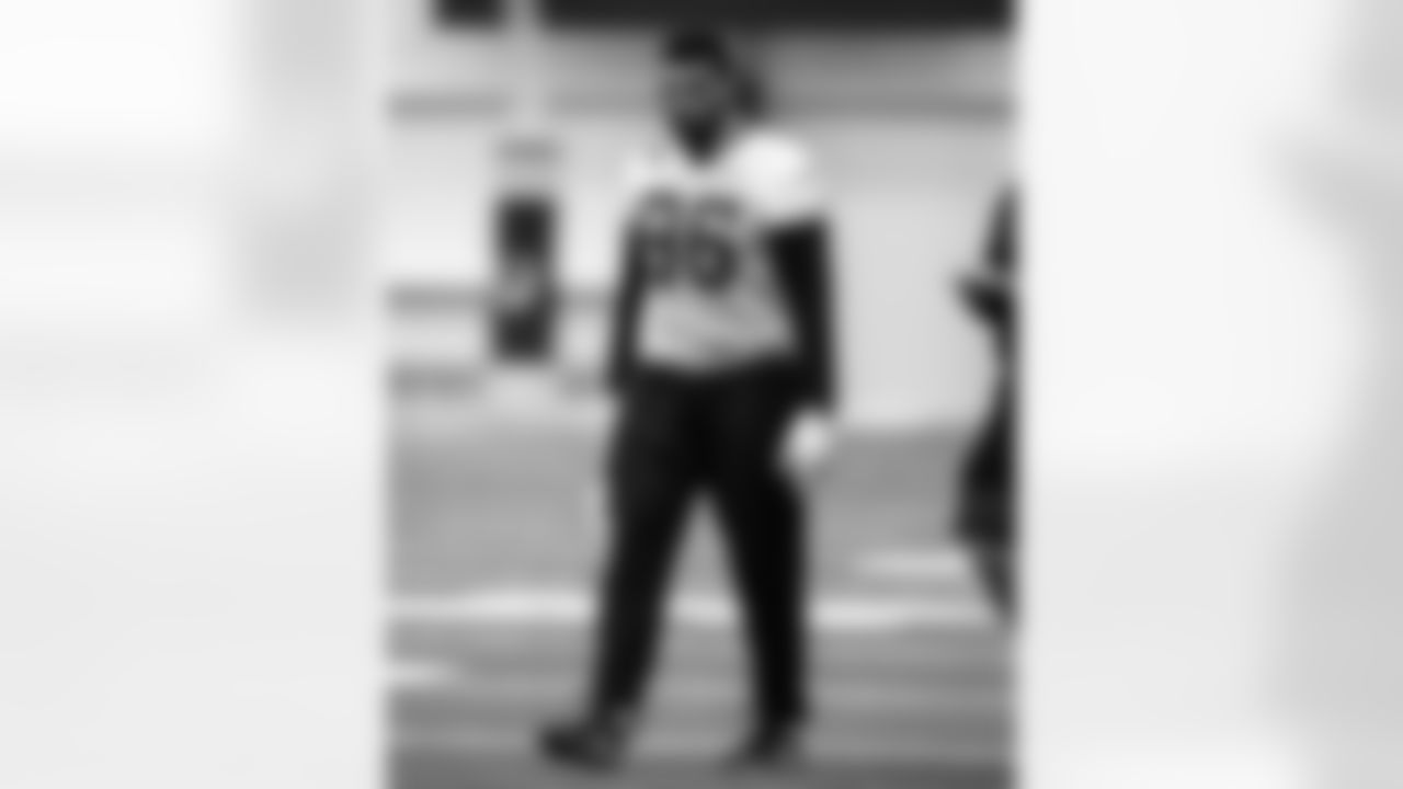 DT Chris Wormley #96