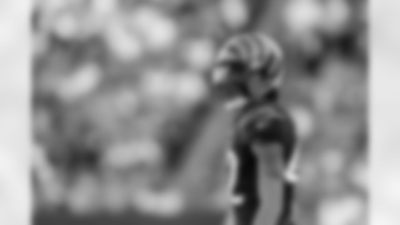 Cincinnati Bengals cornerback Allan George (42) stands on the field during an NFL football game against the Carolina Panthers, Sunday, Nov. 6, 2022, in Cincinnati. The Bengals won 42-21. (Aaron Doster via AP)