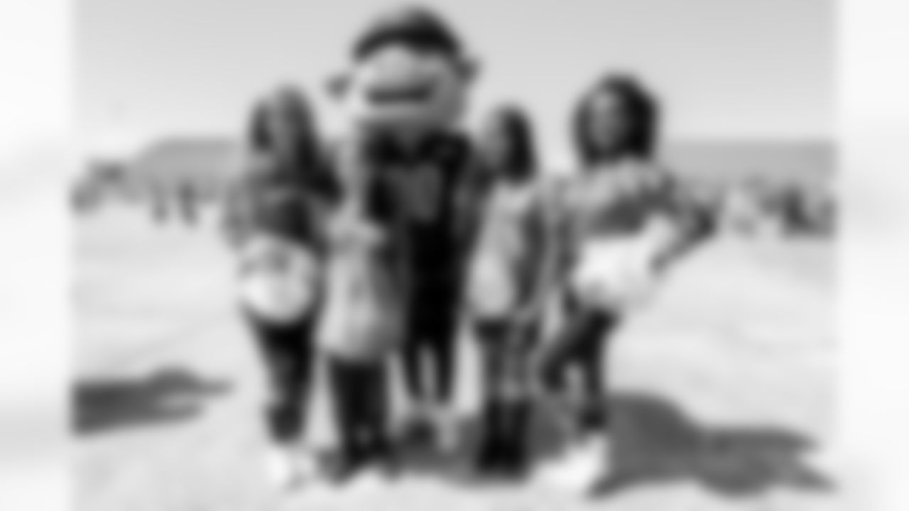 Joint Base Andrews airshow Salute activation (Alyssa Howell/ Washington Commanders)