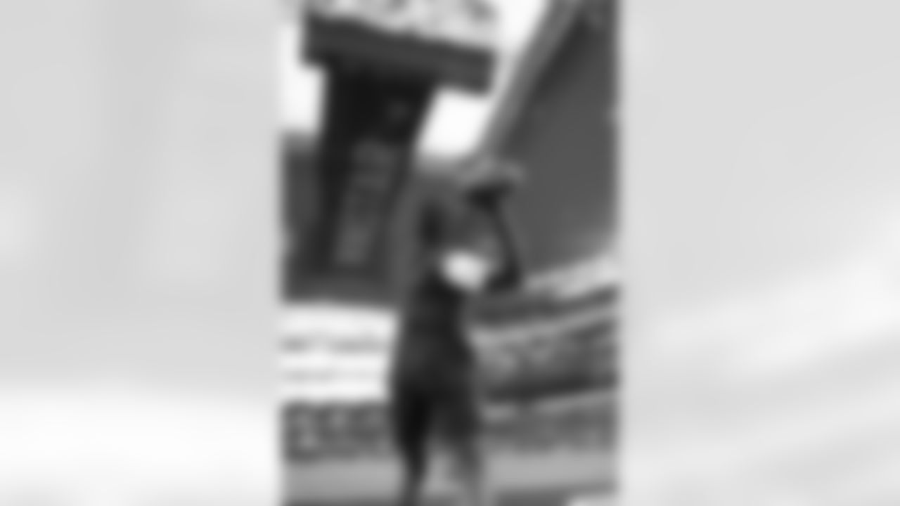 1D1A5282