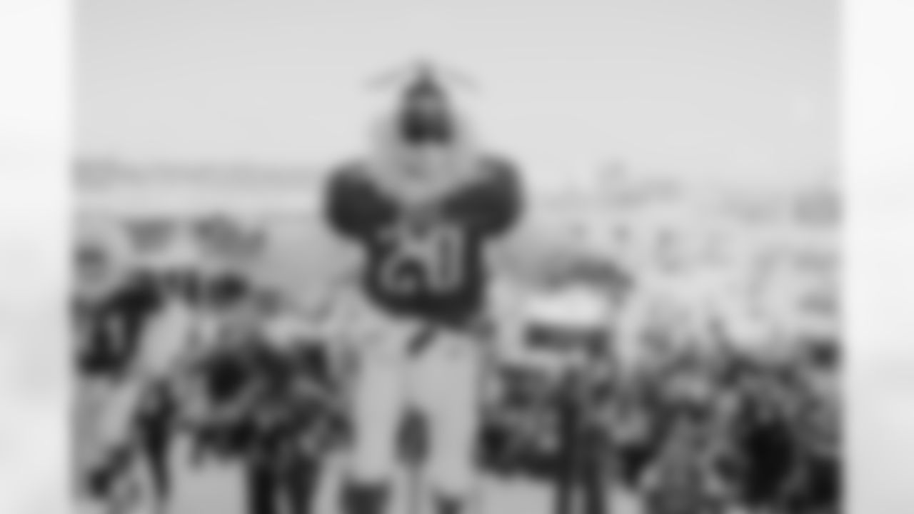 Eagles fans showed out every gameday to cheer on the Birds!