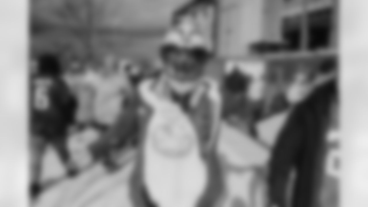 Eagles fans showed out every gameday to cheer on the Birds!