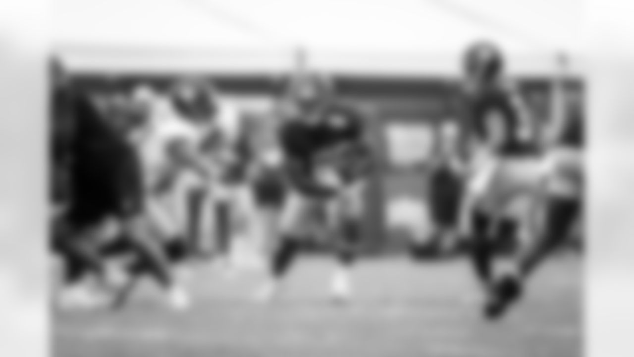 RB Tyrone Tracy Jr. (29)
