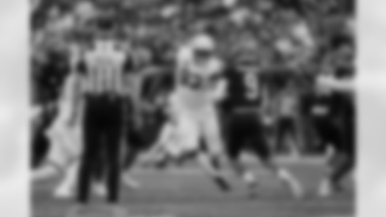 No. 48 Calais Campbell, DL