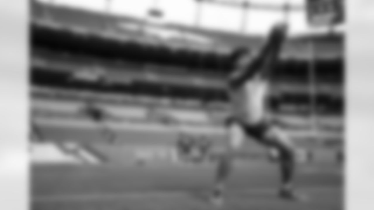 TE Theo Johnson (84)