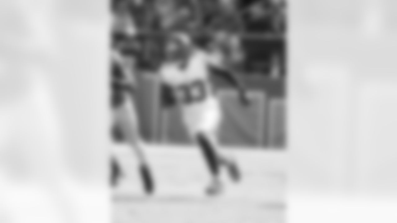 LB Demetrius Flannigan-Fowles (Unrestricted Free Agent)