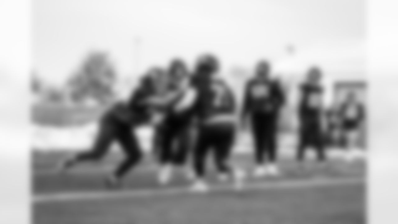 TE Theo Johnson (84)