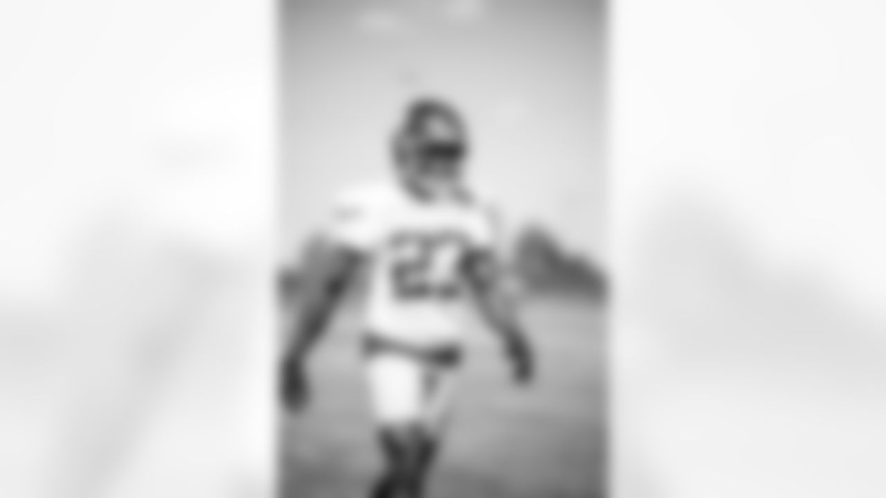 CB Art Green (23)