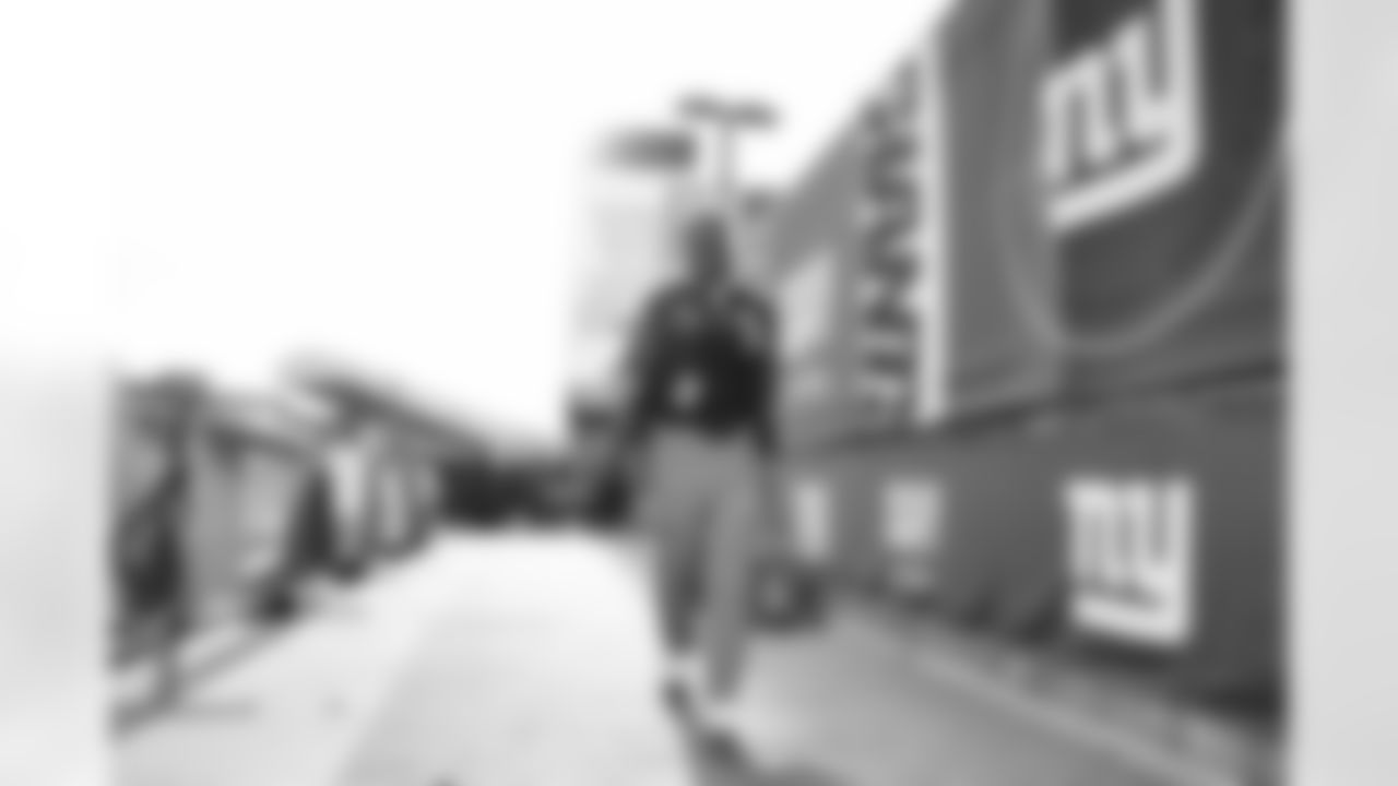 LB Demetrius Flannigan-Fowles (33)