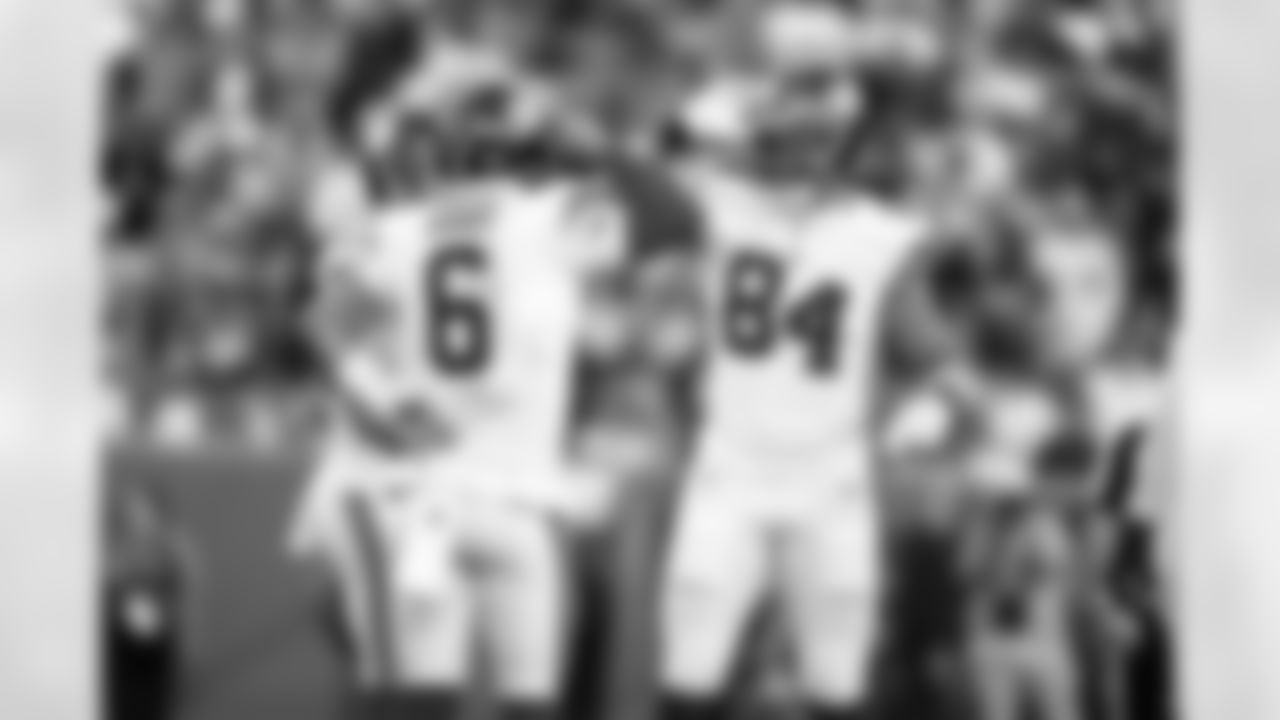 TE Theo Johnson (84)
