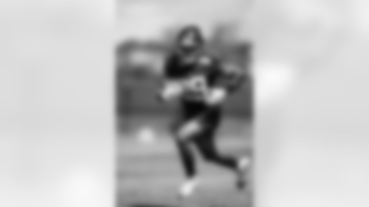 RB Tyrone Tracy Jr. (29)