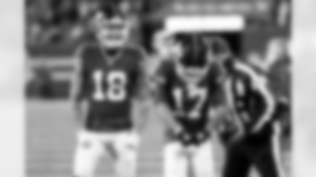 WR Wan'Dale Robinson (17)