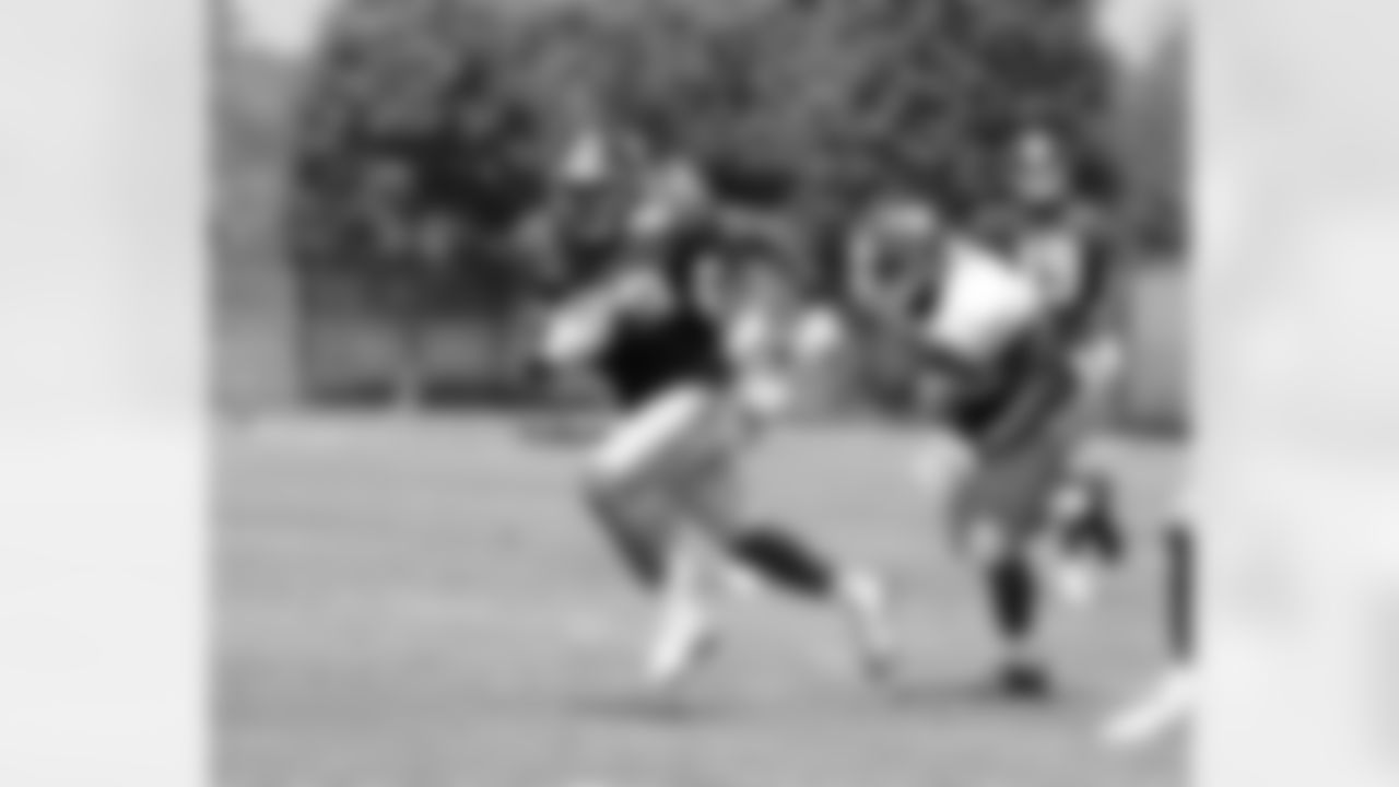 RB Tyrone Tracy Jr. (29)