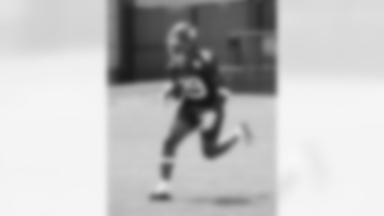 RB Tyrone Tracy Jr. (29)