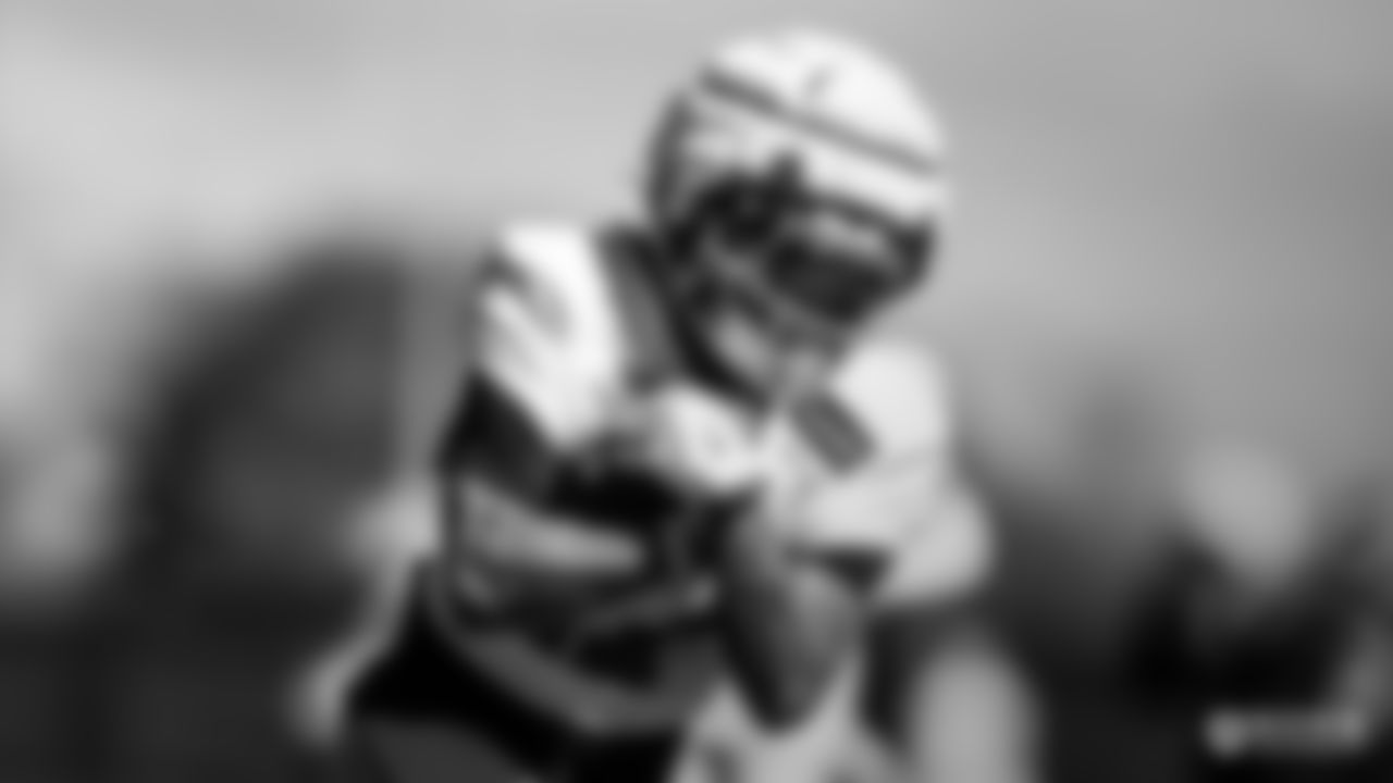 WANDALE-ROBINSON-RIDER