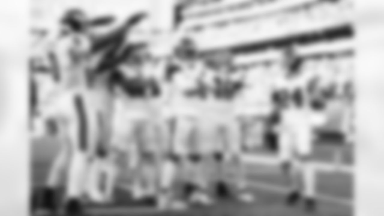 LB Demetrius Flannigan-Fowles (33)