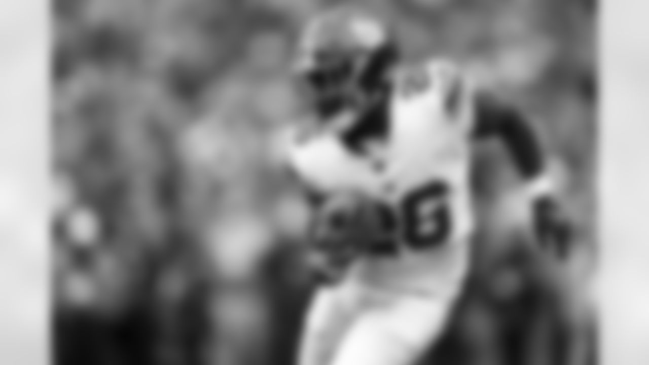 RB Devin Singletary (26)