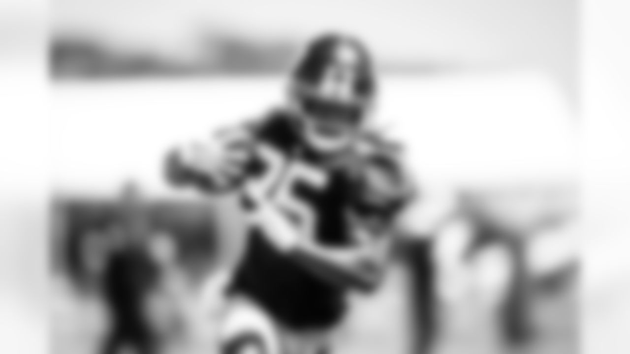 RB Dante Miller (25)