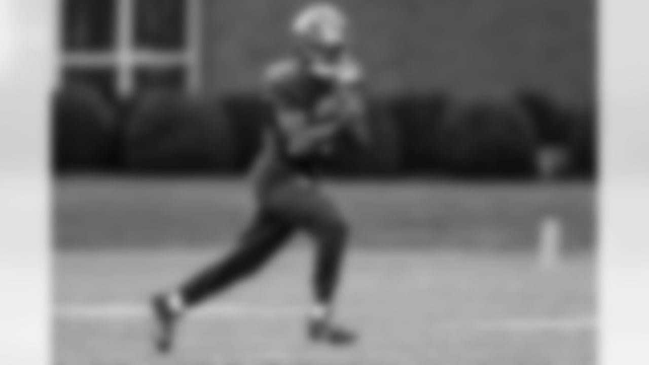 RB Tyrone Tracy Jr. (29)