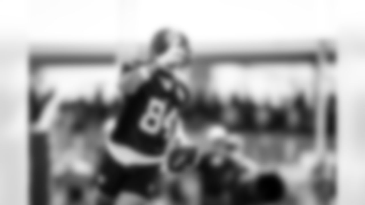 TE Theo Johnson (84)