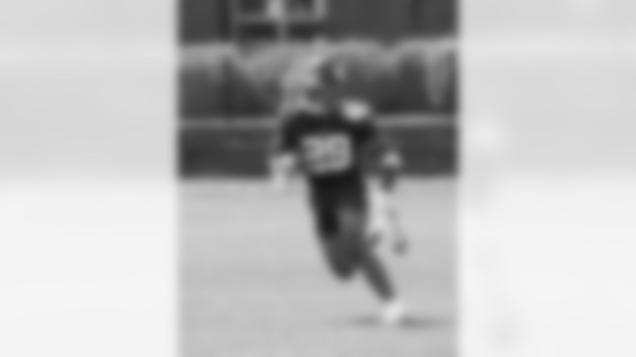 RB Tyrone Tracy Jr. (29)