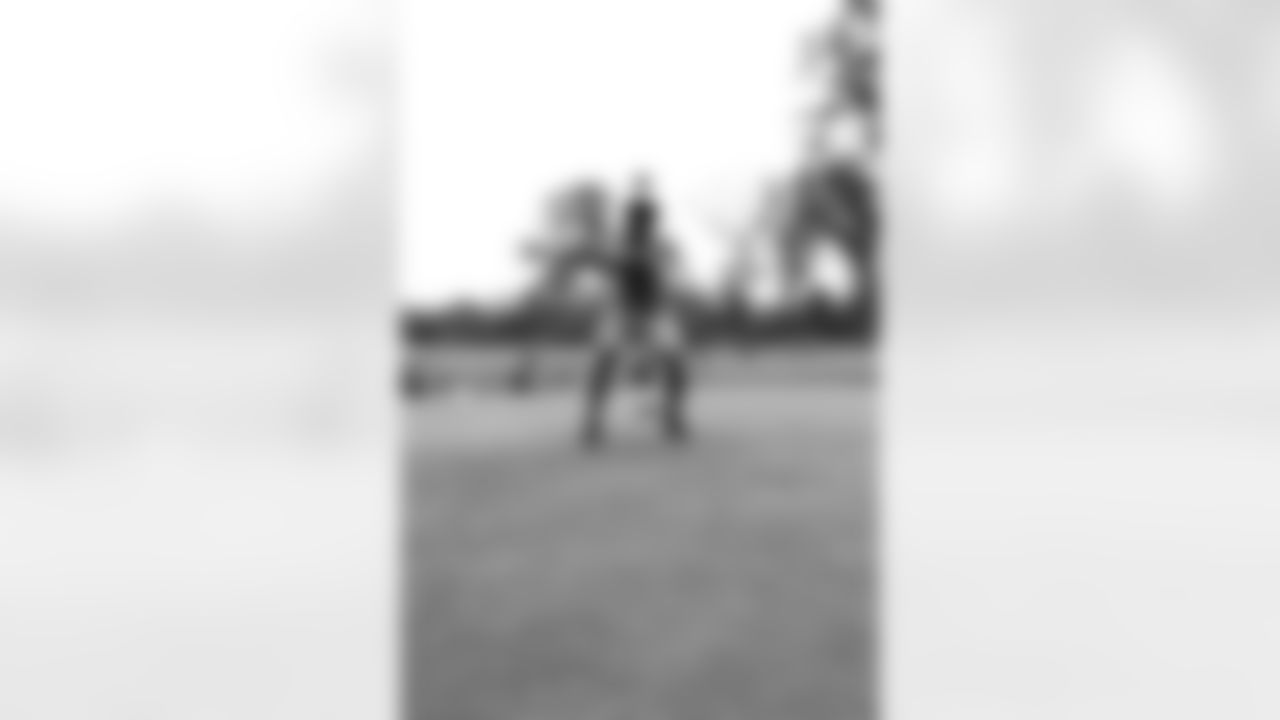 MS_31919