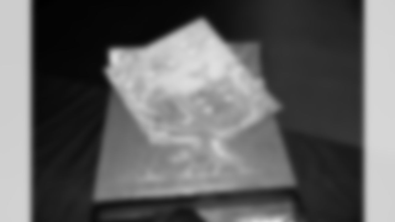 Jacksonville Jaguars STM Grab Gift_-6